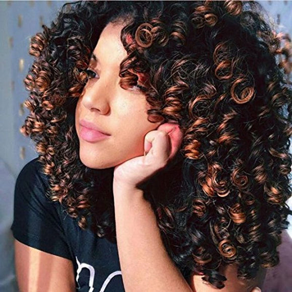 Obmbre Curly Synthetic  Wig