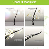 Nut Tree Professional: Vegan Keratin Hair Treatment Set