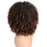 Curly Synthetic Obmbre Wig